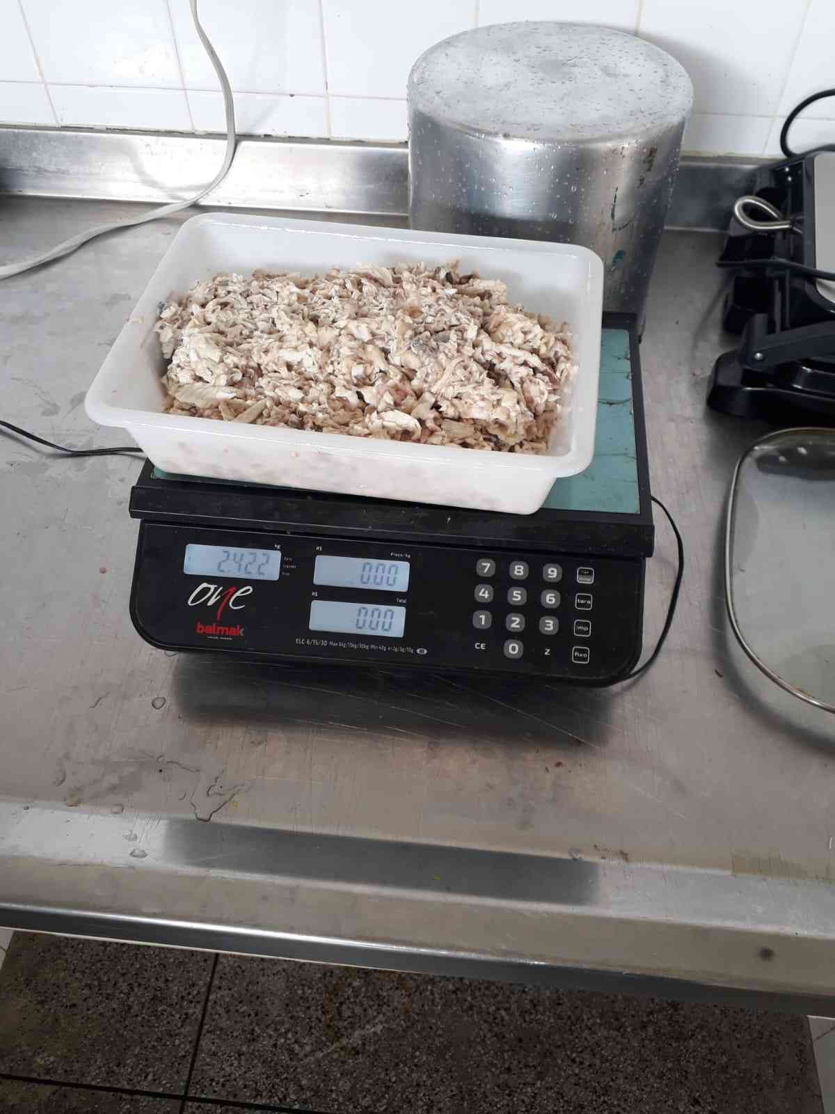 Carne Mecanicamente Separada ( CMS) de Peixe