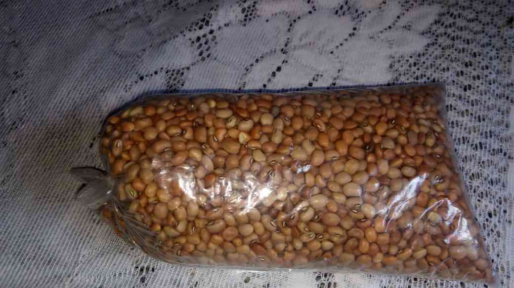 feij�o catador