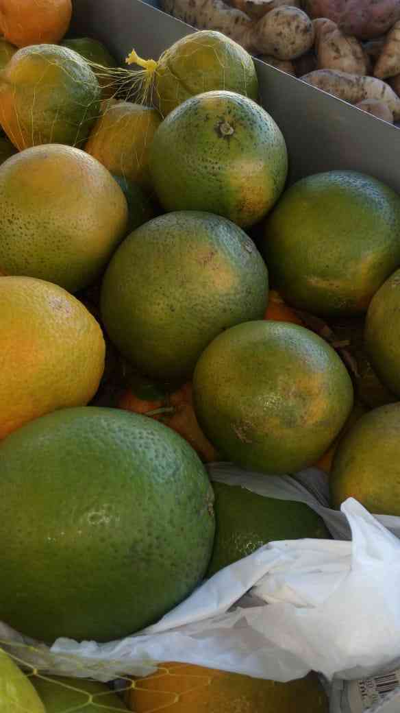 laranja pera